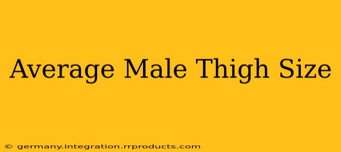 Average Male Thigh Size